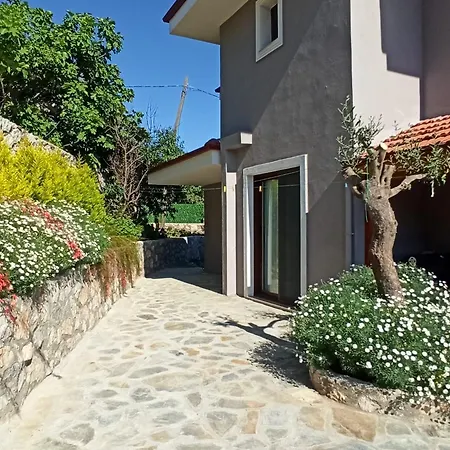 Isil Kaygıseki